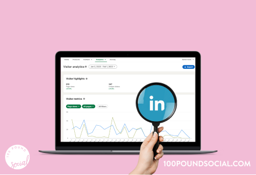 LinkedIn Audit