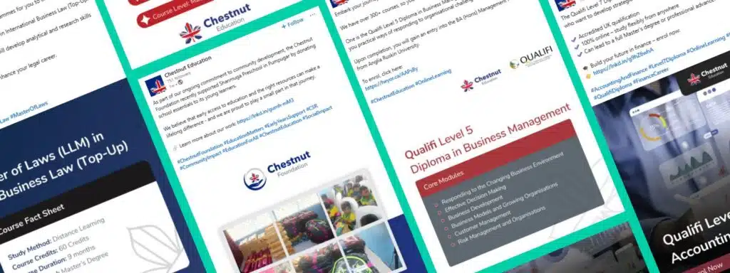 Chestnut-Education