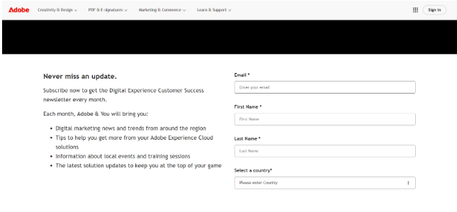 Adobe Newsletter Example